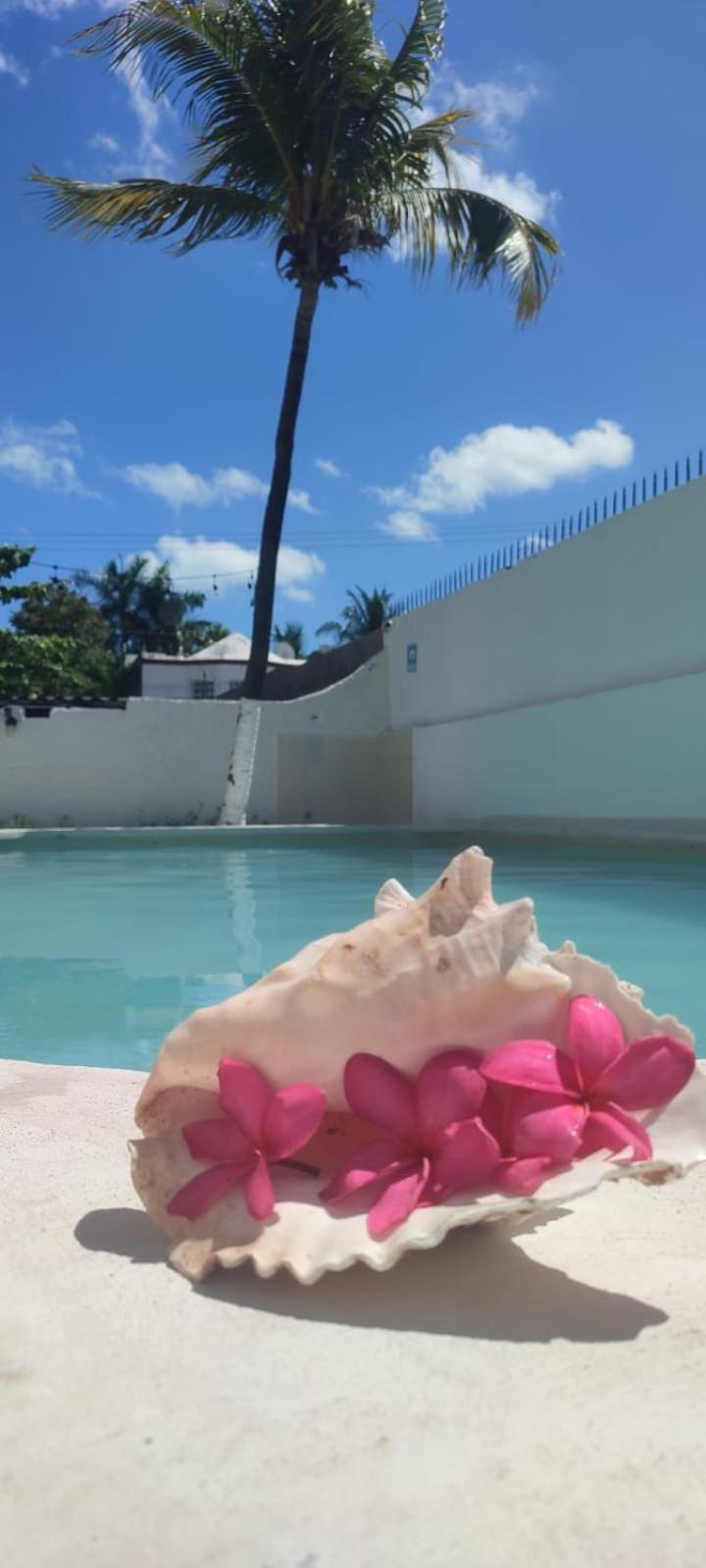 Hotel Coral Cancún Exteriér fotografie